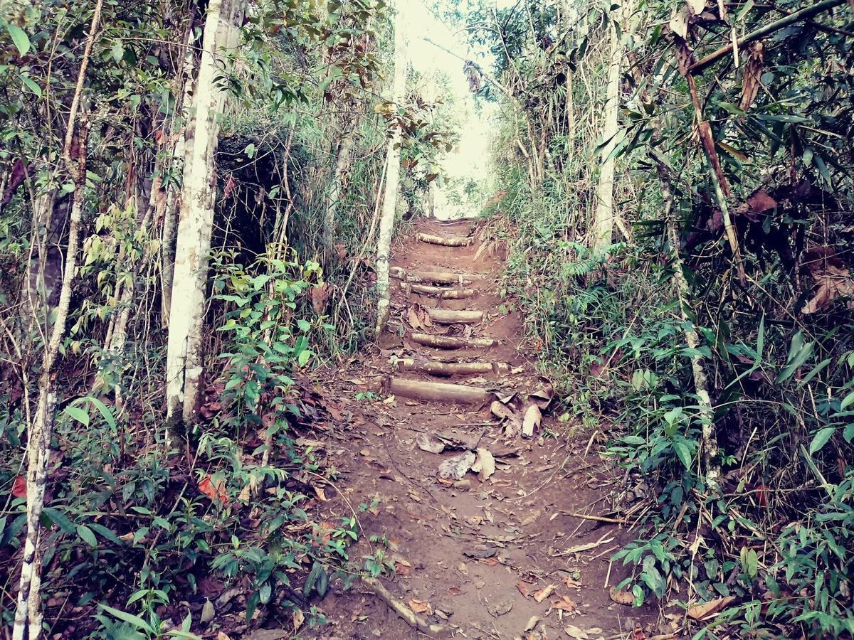 Canto dos Pássaros Nova Friburgo Esterno foto
